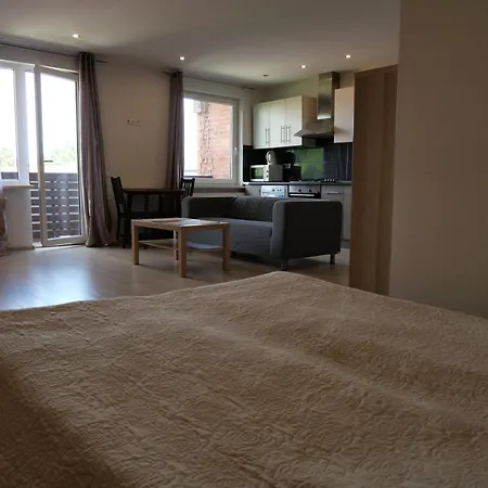 Studija Centre Apartment *
